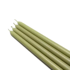 Zest Candle 12 In. Sage Green Taper Candles (12-Set)