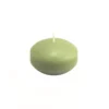Zest Candle 1.75 In. Sage Green Floating Candles (Box Of 24)