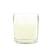 Zest Candle 2 In. Ivory Square Glass Votive Candles (12-Box)